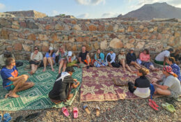 Socotra_2025 (39/76)